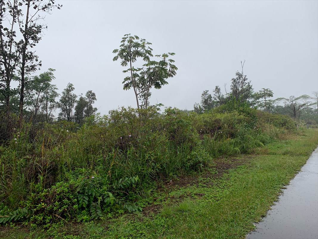 Beach Rd - Photo 1