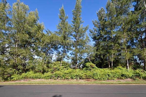 Pikake Street - Photo 1