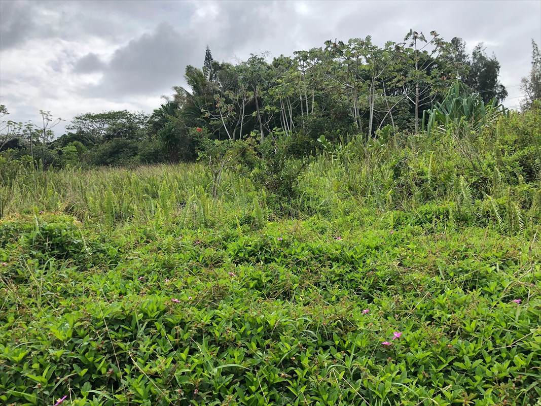 Wahi Heiau Pl - Photo 1