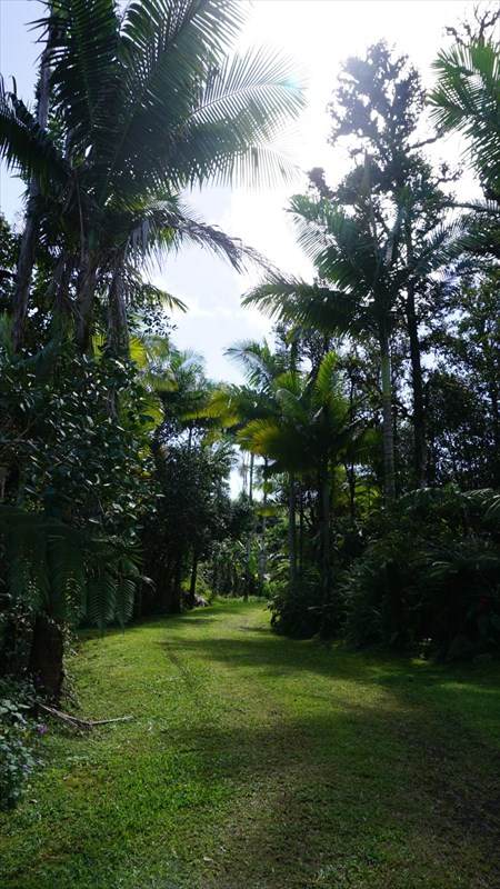 13-1231 Malama St - Photo 1 13-1231 Malama St - Photo 1