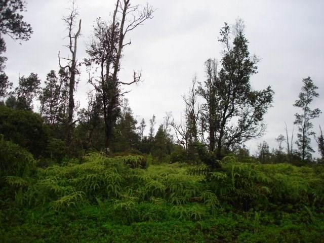 12TH AVE - Photo 1