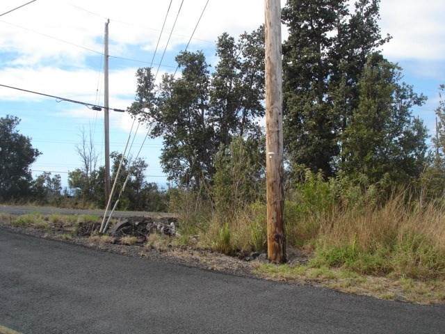 Tree Fern & Kona - Photo 1
