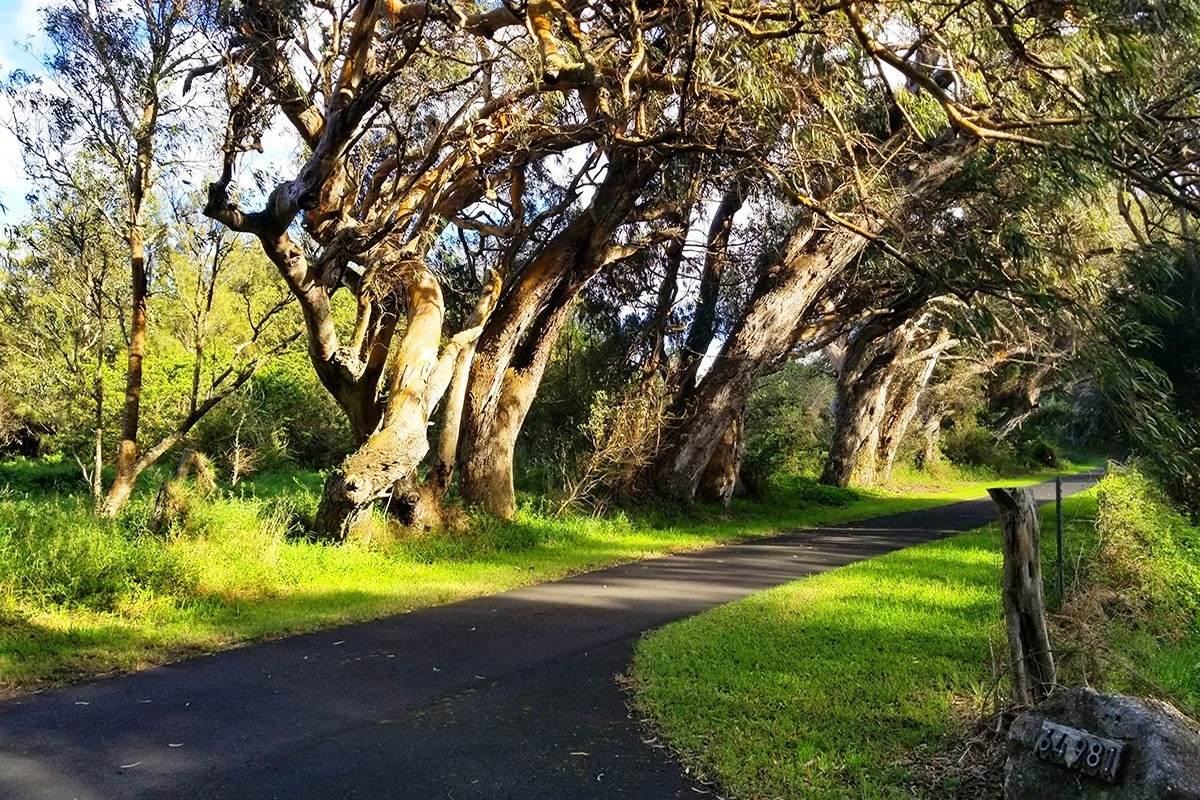 64-981 Mamalahoa Hwy - Photo 1