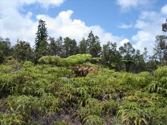 11-3086 Pa Alii St - Photo 1