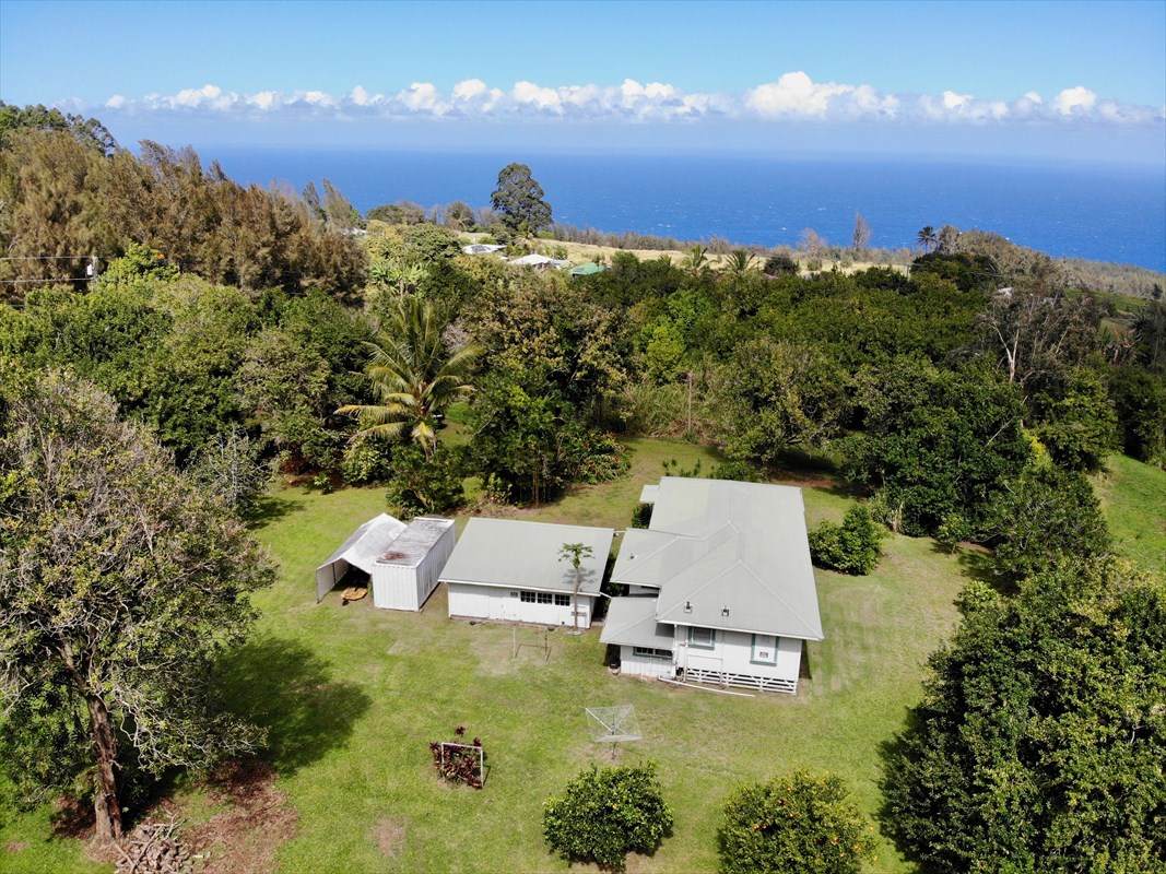 46-4155 Honokaa Waipio Rd - Photo 1