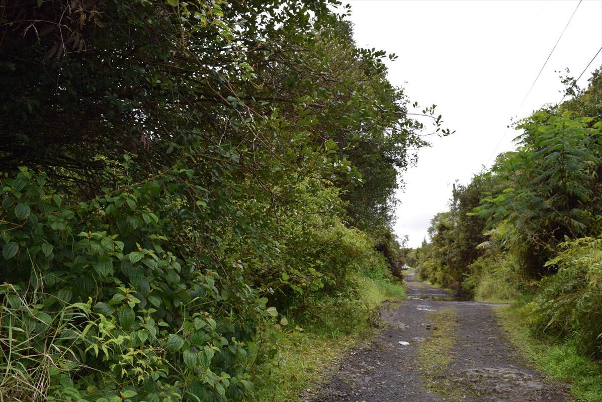 Thorne St - Photo 1