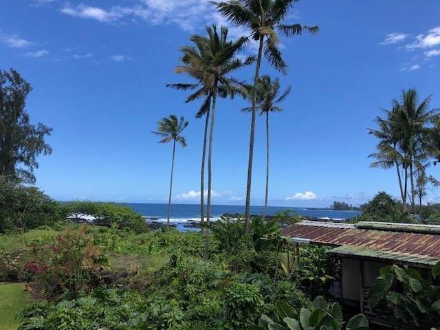 1911 Kalanianaole - Photo 1