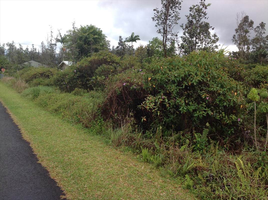 Sandalwood Dr - Photo 1 Sandalwood Dr - Photo 1