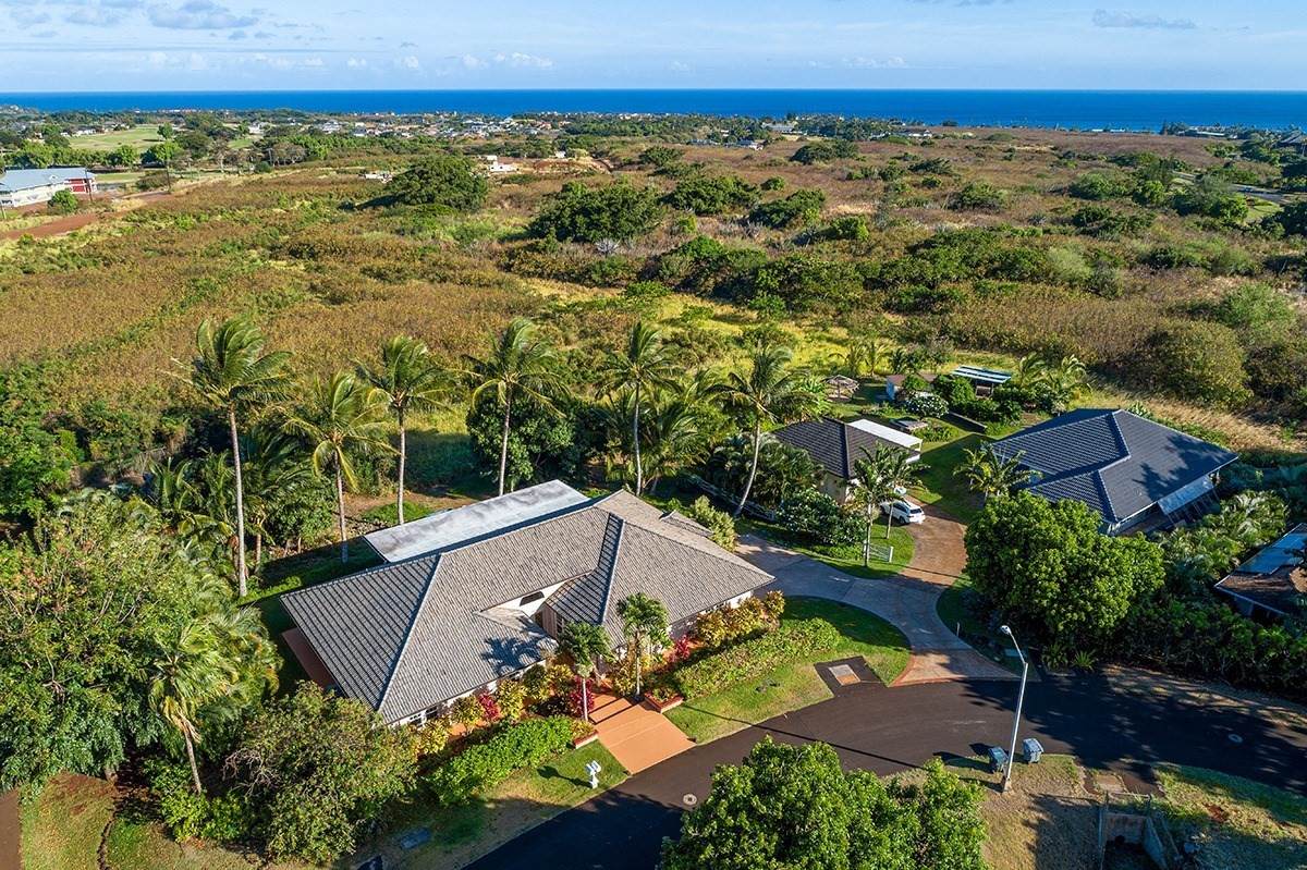 2990 Pua Alani Pl - Photo 1