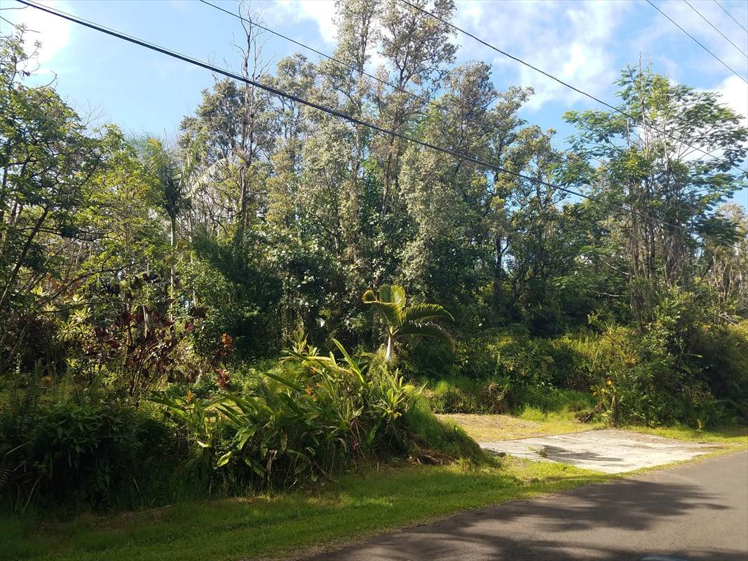 13-964 Kahukai St - Photo 1