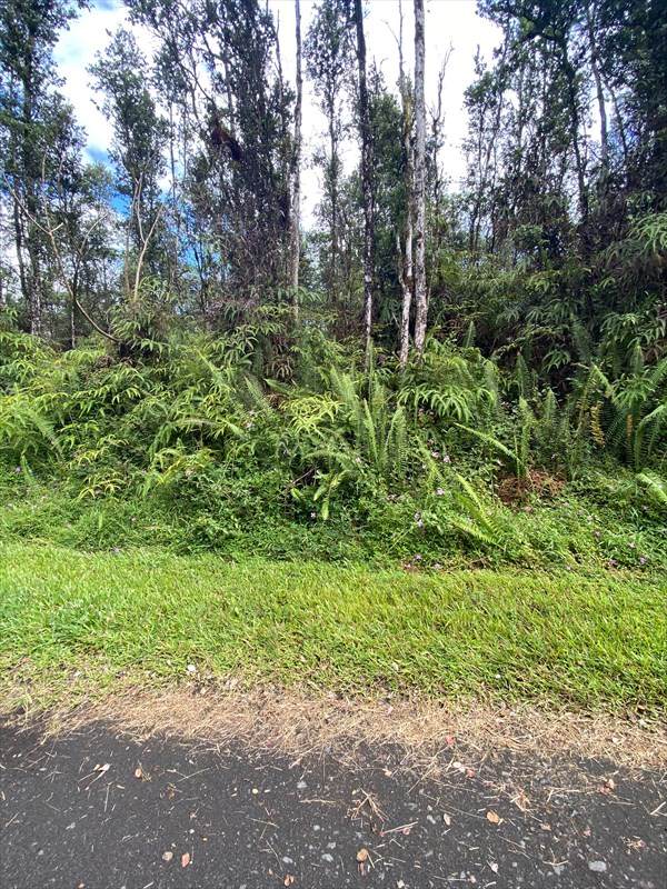 Paradise Rd - Photo 1