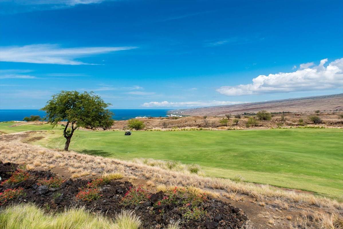 62-3600 Amaui Drive - Photo 1