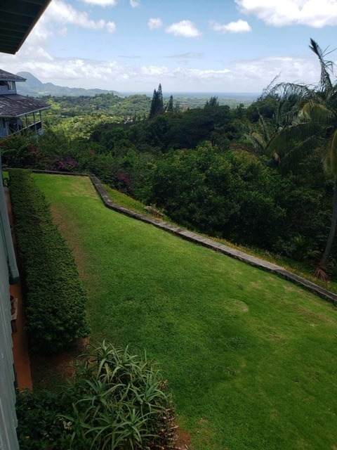 4272 Kalaheo Dr - Photo 1