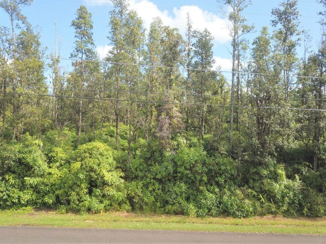 13-3487 Kumakahi St - Photo 1