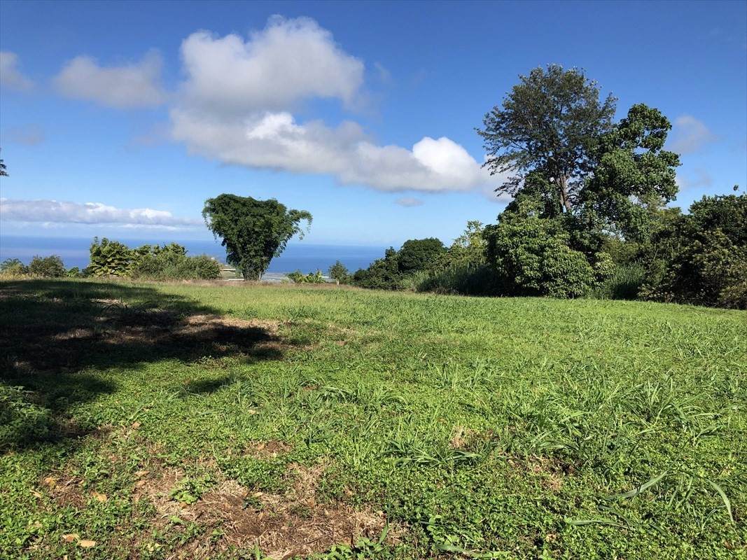 75-1085 Kamalani St - Photo 1