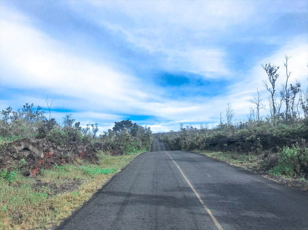 Tiki Ln - Photo 1