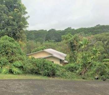 2391 Piihonua Rd - Photo 1