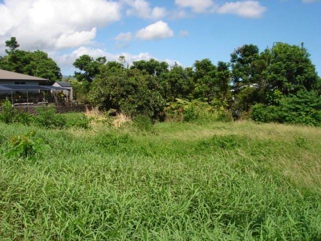 208 Kawailani St - Photo 1