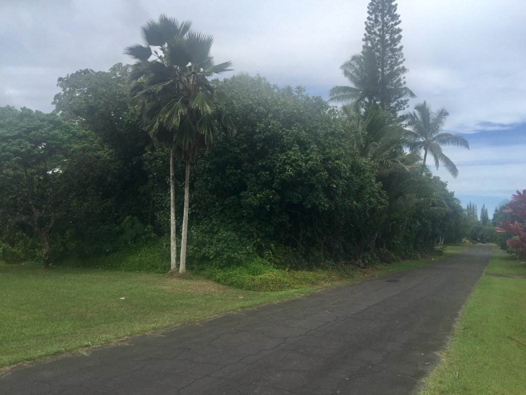 Popaa St - Photo 1