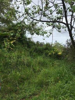 Wao Kele Rd (Road G) - Photo 1