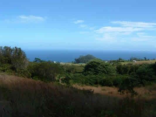 32-418 Piha Kahuku - Photo 1