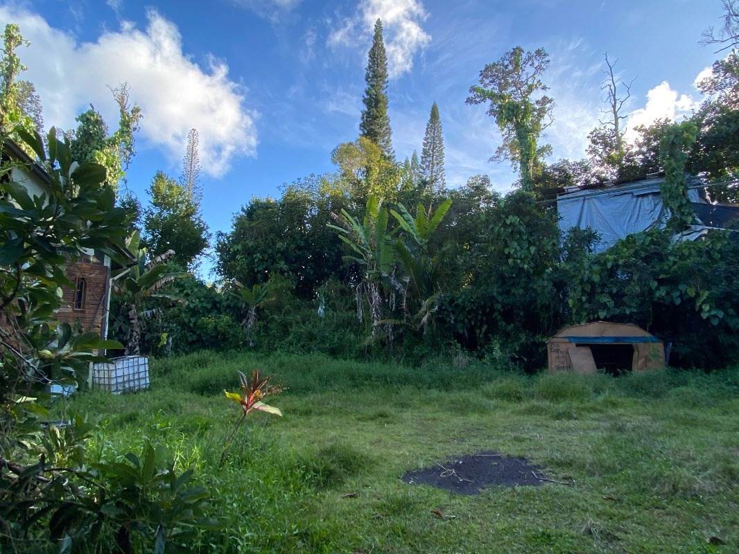 12-4263 Kalapana St - Photo 1