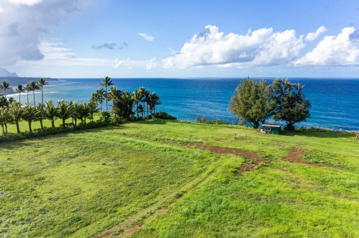 Kauapea Rd. - Photo 1