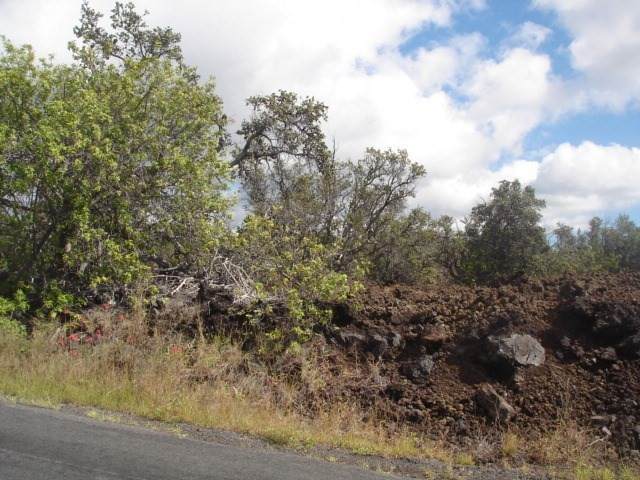Tiki Ln - Photo 1