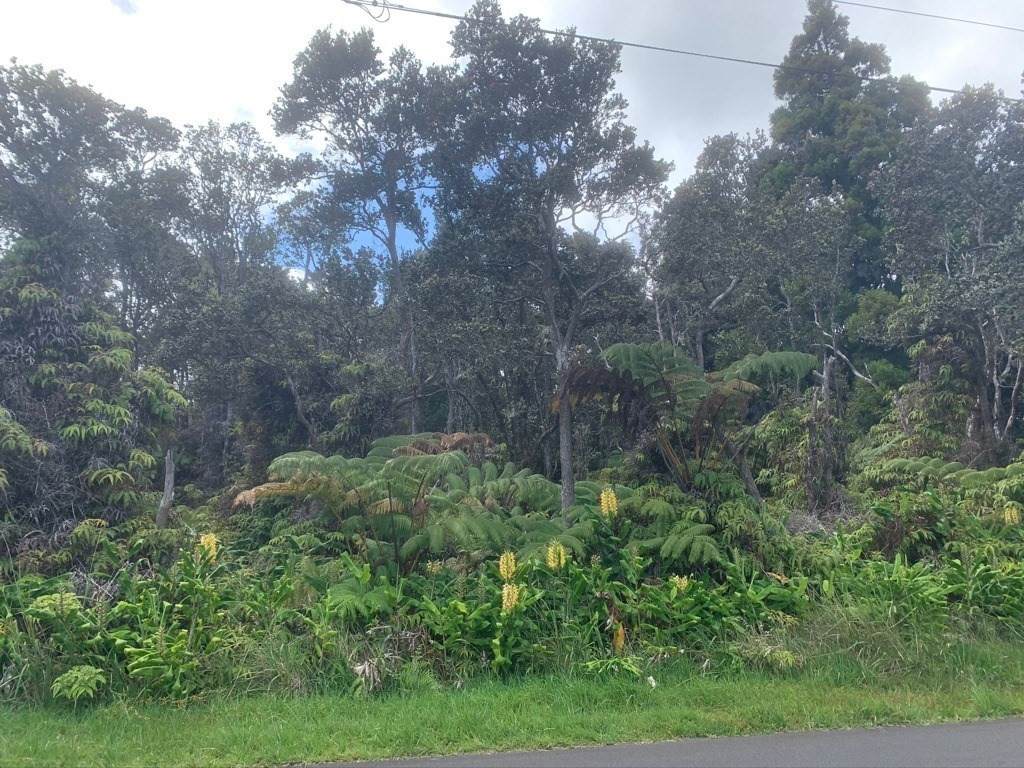 Wright Rd - Photo 1