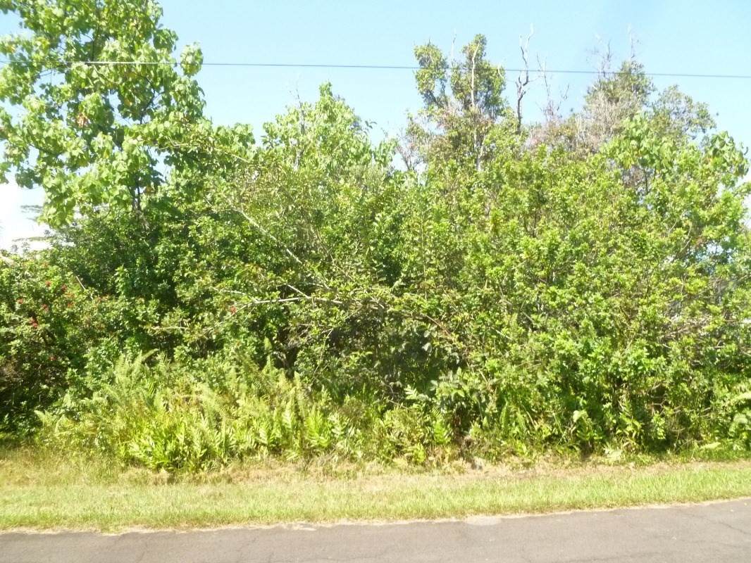 Puulena St - Photo 1