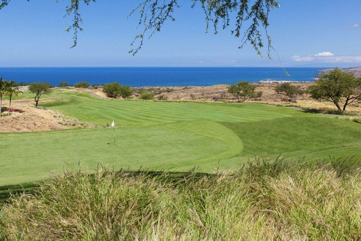 62-3797 Amaui Drive - Photo 1