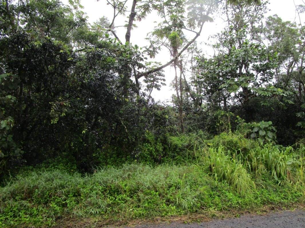11TH AVE (KIKA) - Photo 1