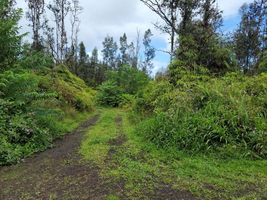 Lanai Rd - Photo 1
