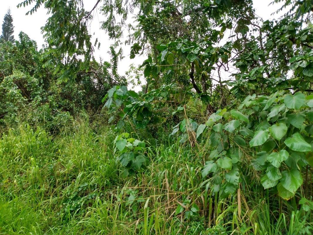 12-283 Pohakupele Lp - Photo 1