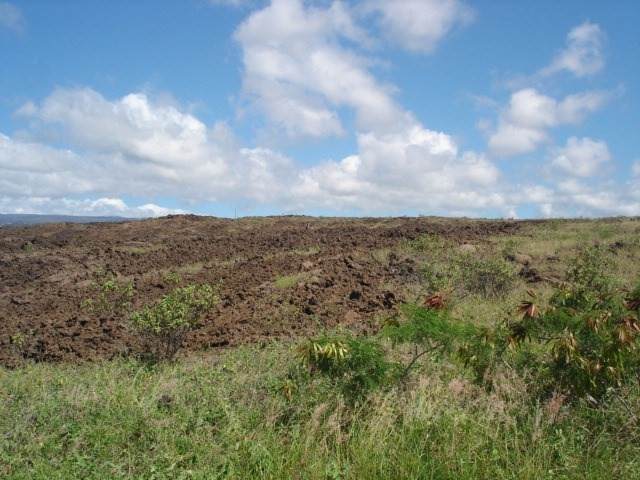 Lanikai Dr - Photo 1