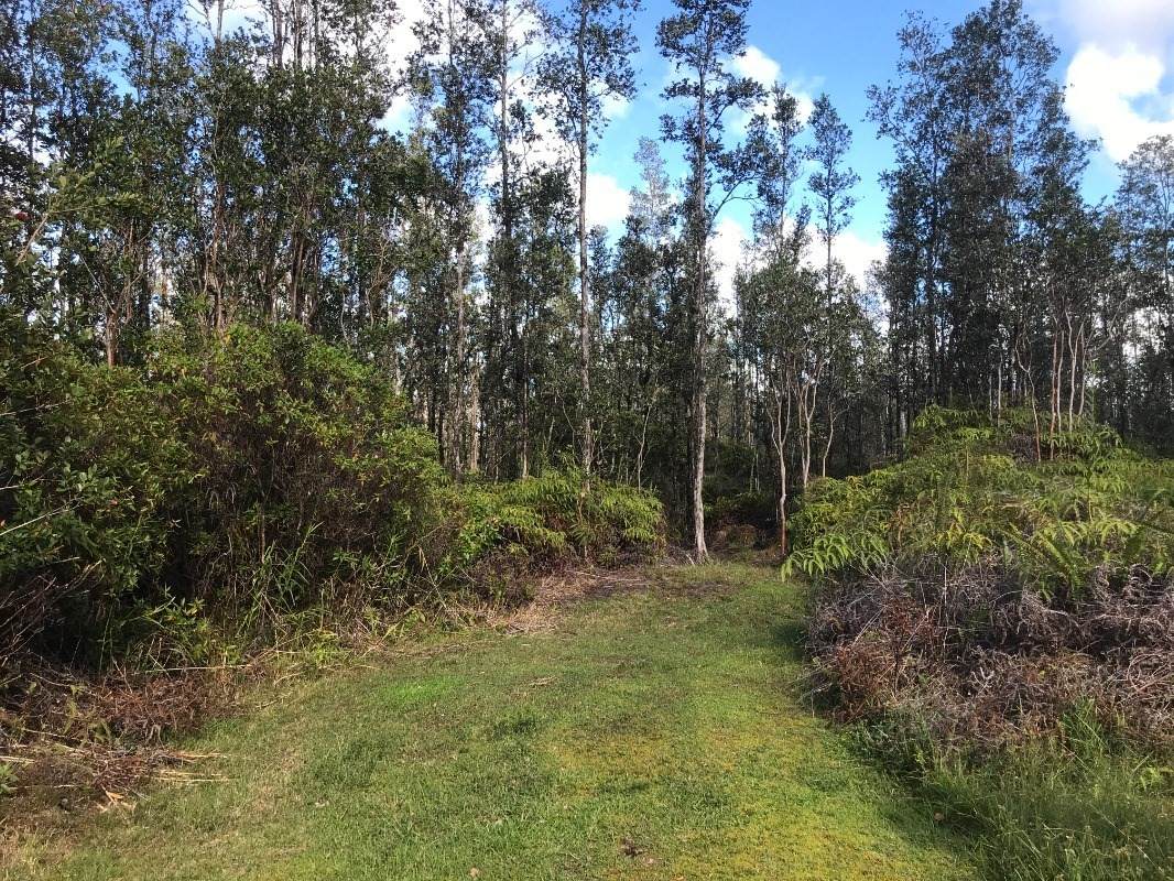 16-1959 Hopue Rd (Road 3) - Photo 1