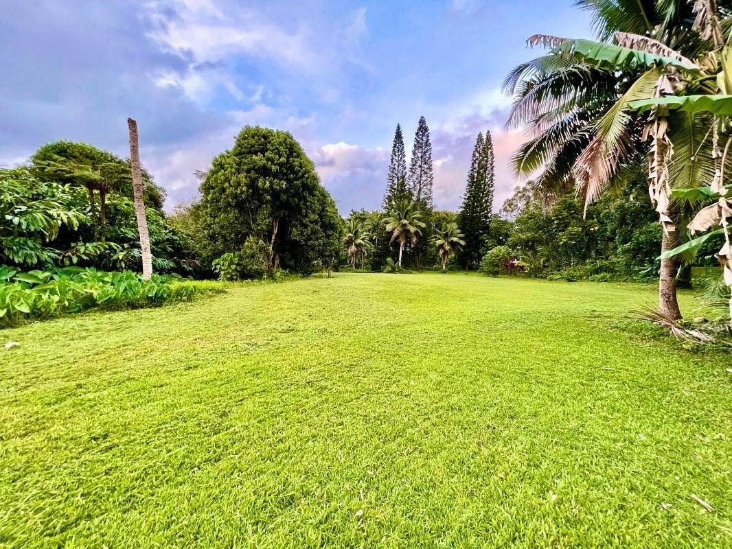 6409-A Opaekaa Rd - Photo 1
