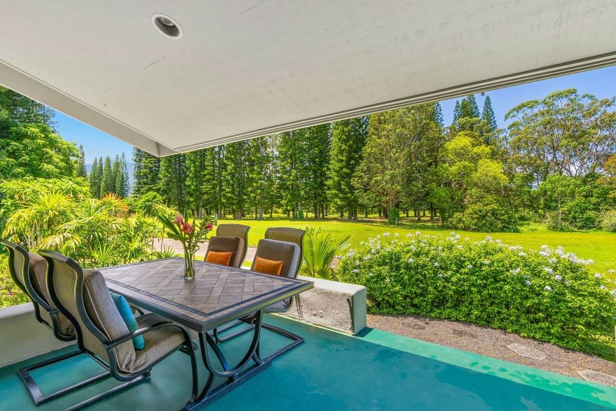 4227 Kinau Pl - Photo 1