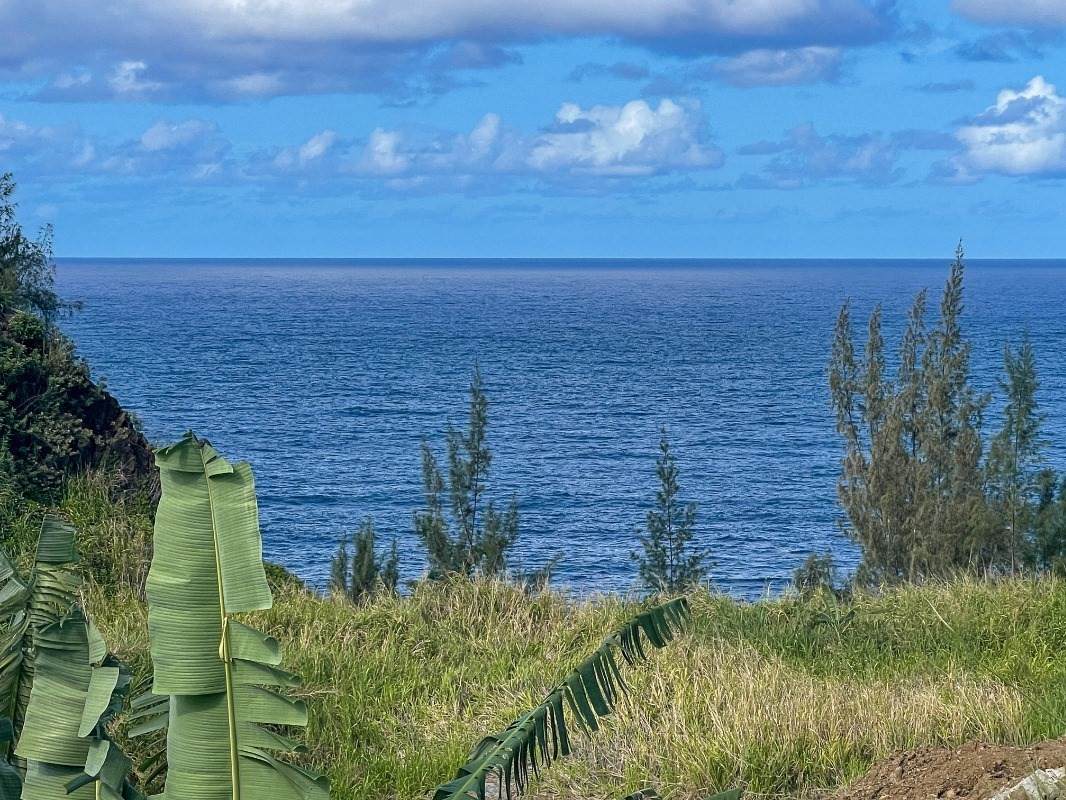 32-2619 Pali Ku Pl - Photo 1