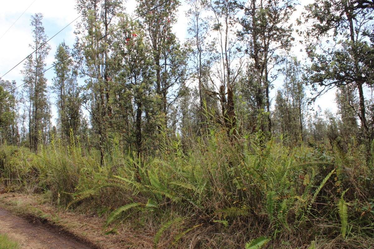 Ooaa Rd (Road 6) - Photo 1