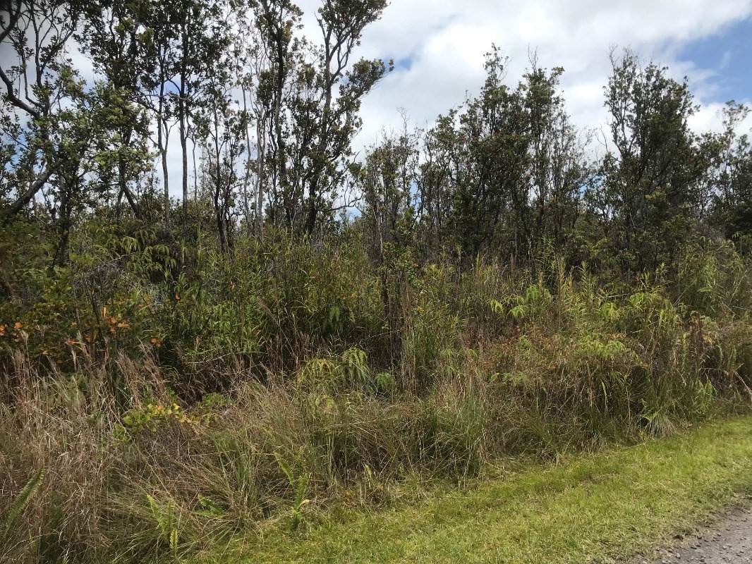 Omeka Rd - Photo 1