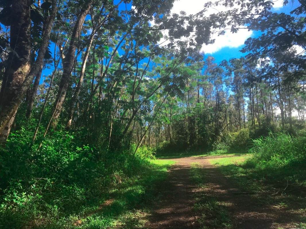 Lanai Rd - Photo 1