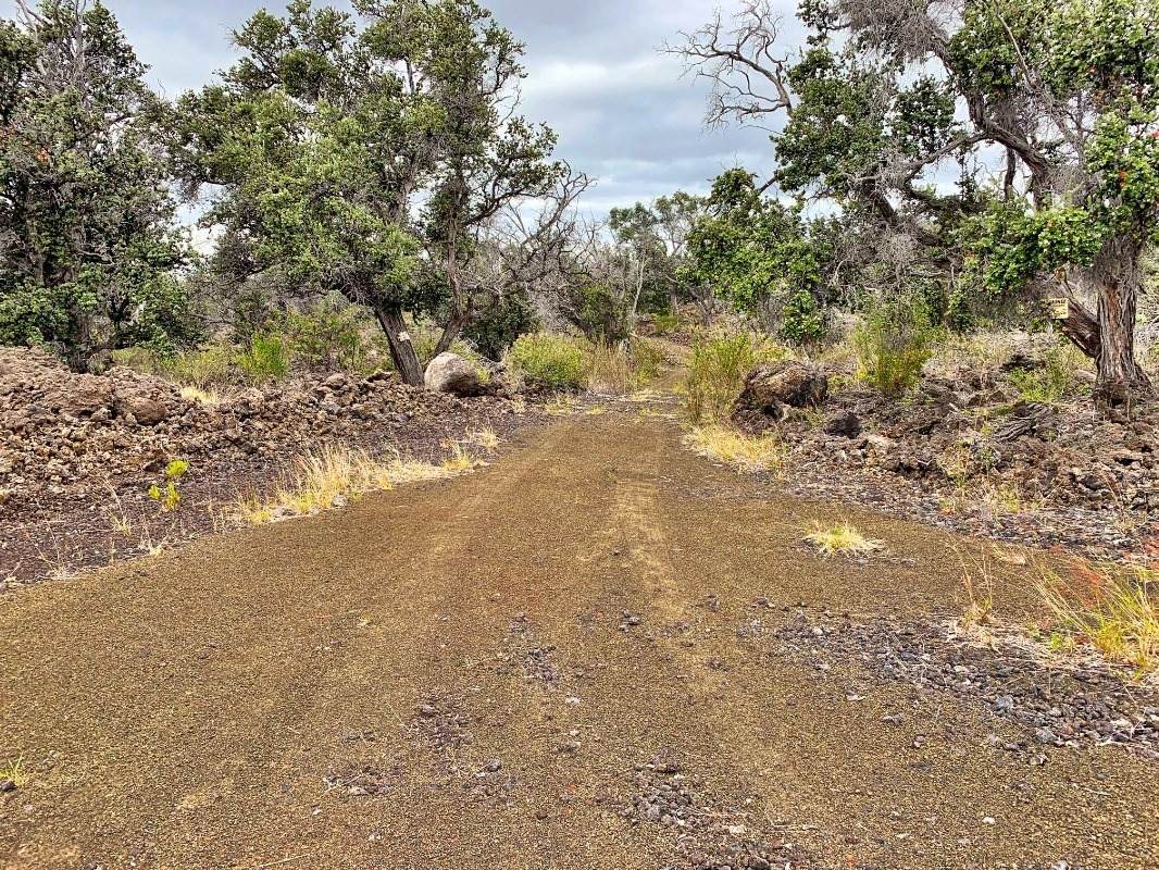 Prince Kuhio Blvd - Photo 1