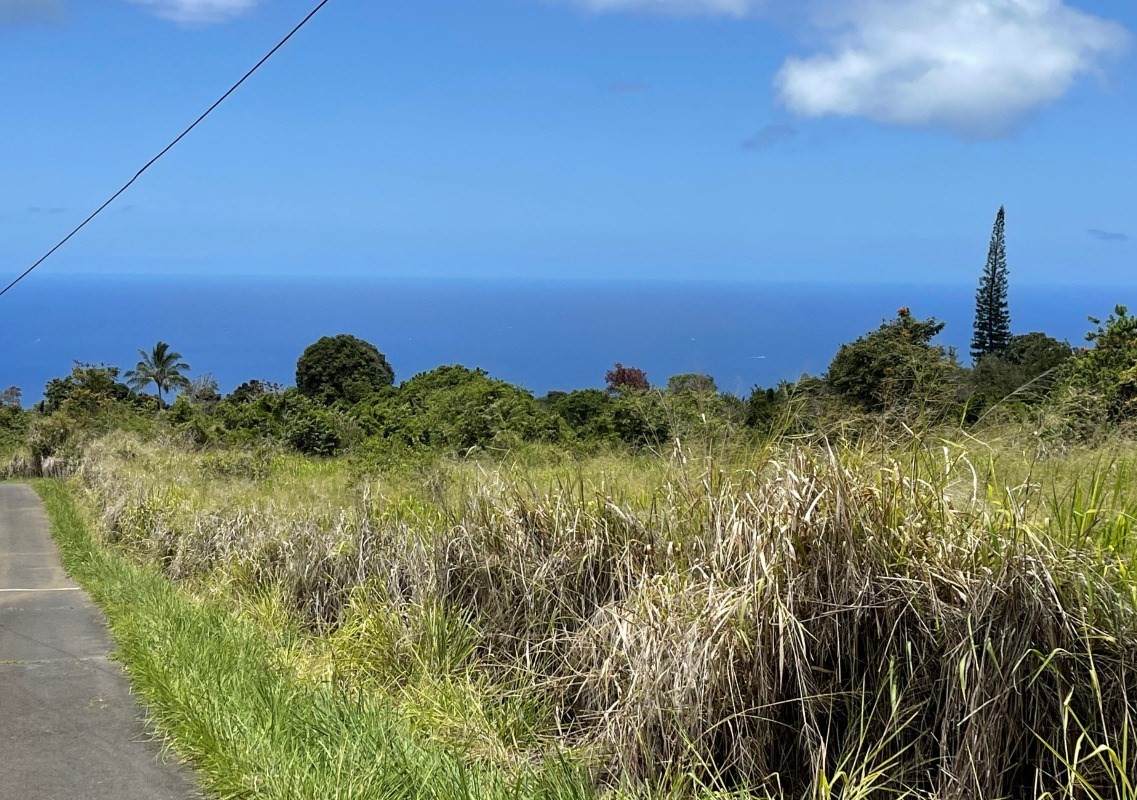 79-1117 Puu Puueo Rd - Photo 1