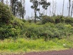 Coconut Dr - Photo 1