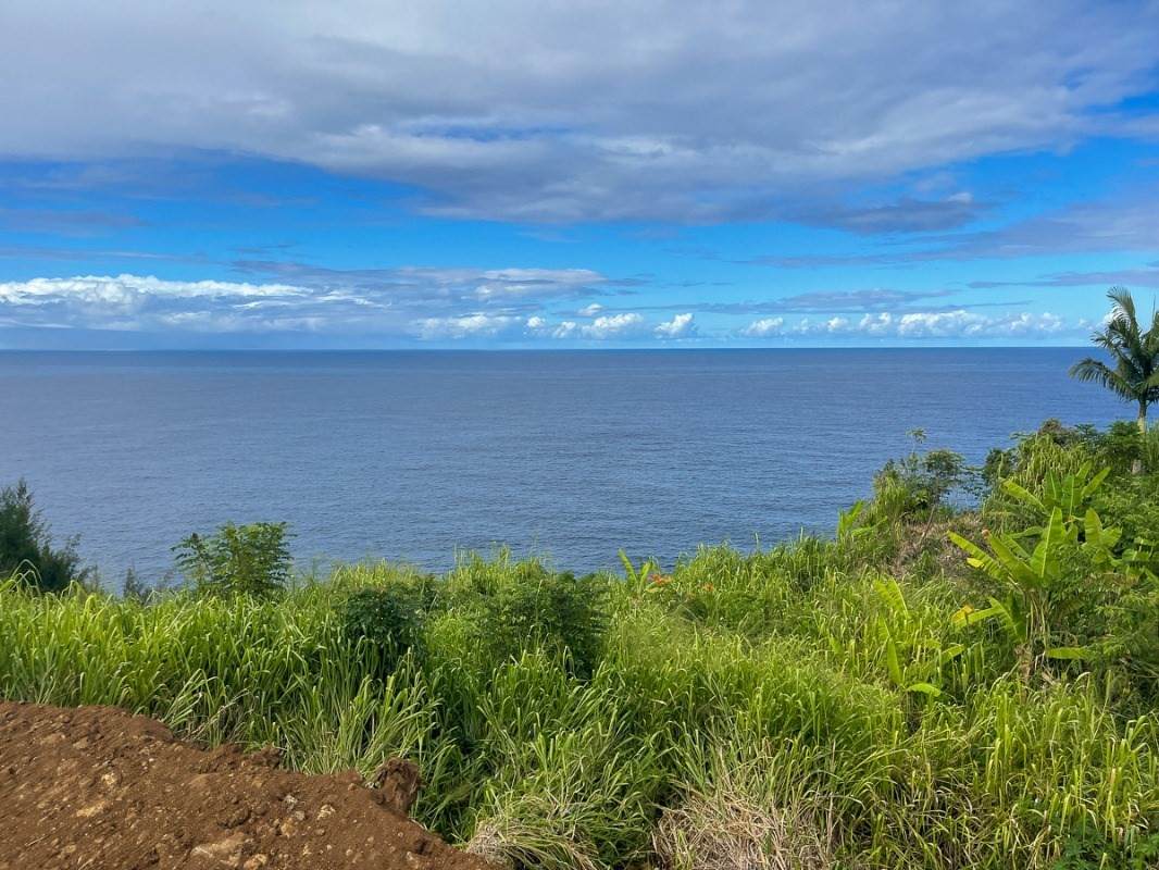 Pali Ku Place Lot 9 - Photo 1