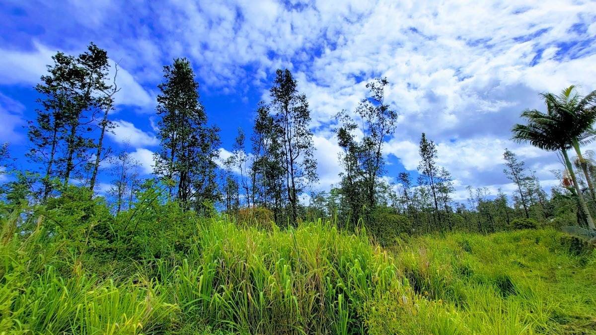 Pukalani Dr - Photo 1