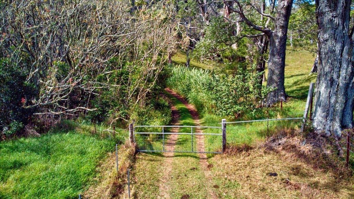Antone De Luz Road - Photo 1