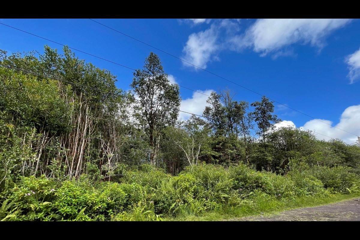 Opeapea Rd (Road 7) - Photo 1
