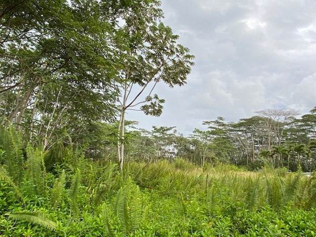 18TH AVE (MAIA) - Photo 1